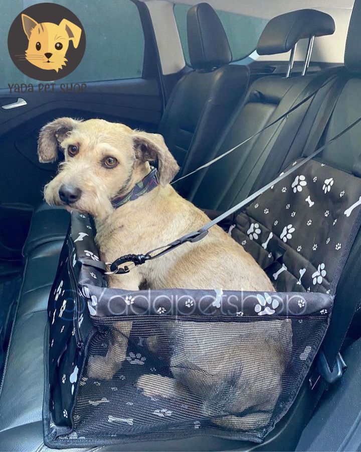 Asiento para Carro para Perros Pequeños y Medianos | Seguridad y Comodidad en el Viaje