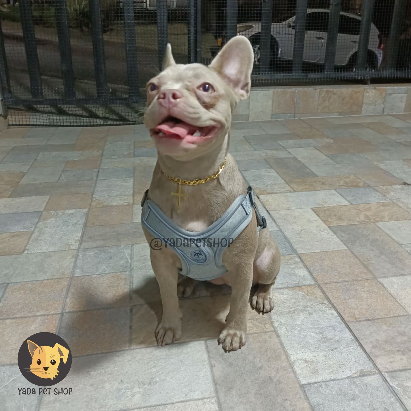 Arnés Acolchado y Reflectivo para Perros | Material Antialérgico y Seguro