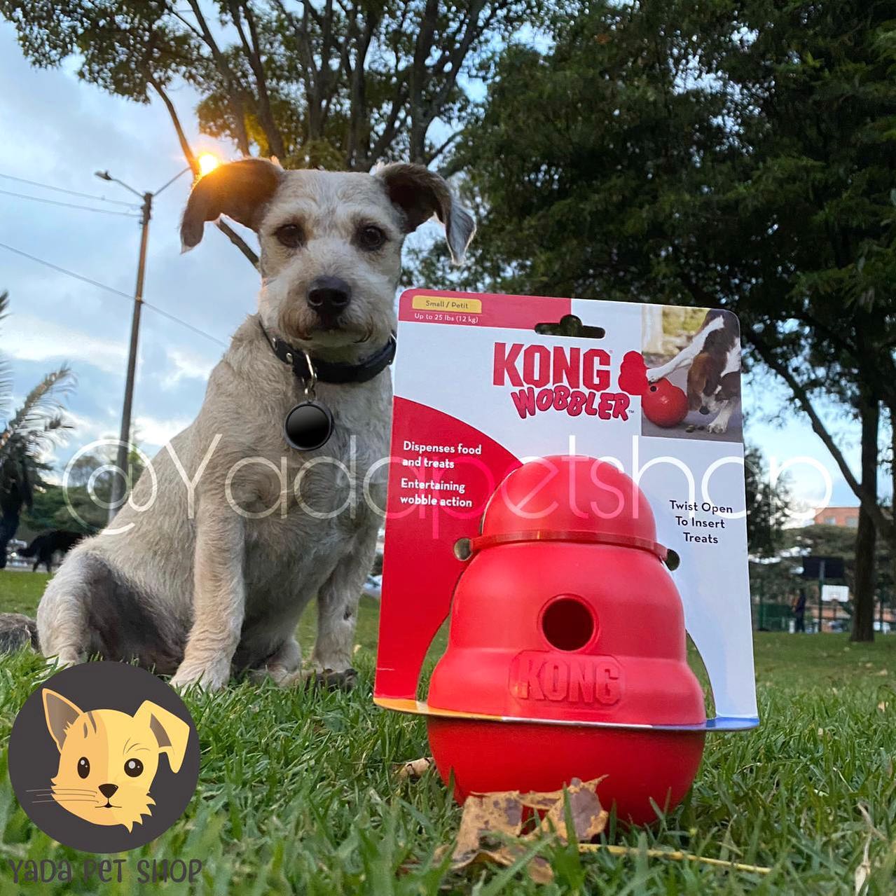 Kong Wobbler - Dispensador de comida