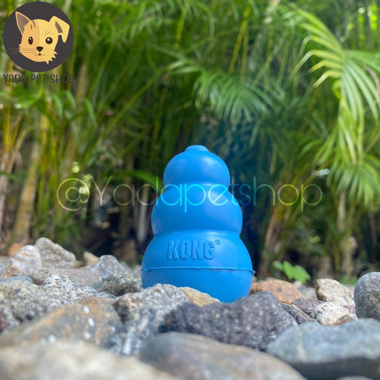 Kong Puppy